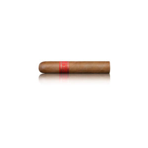 Partagas Serie D No.5Partagas Serie D No.5
